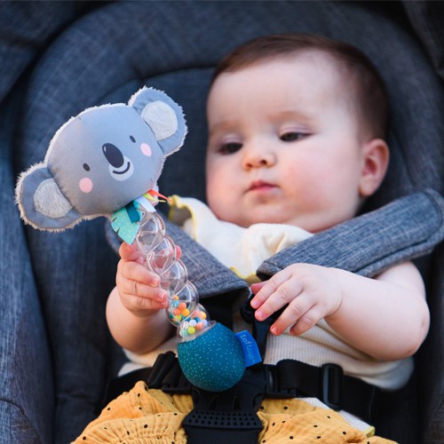 Taf Toys Koala Rainstick