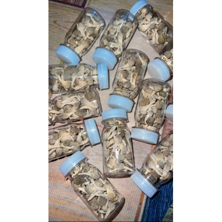 jamu mpot putih asli madura by mama ifa