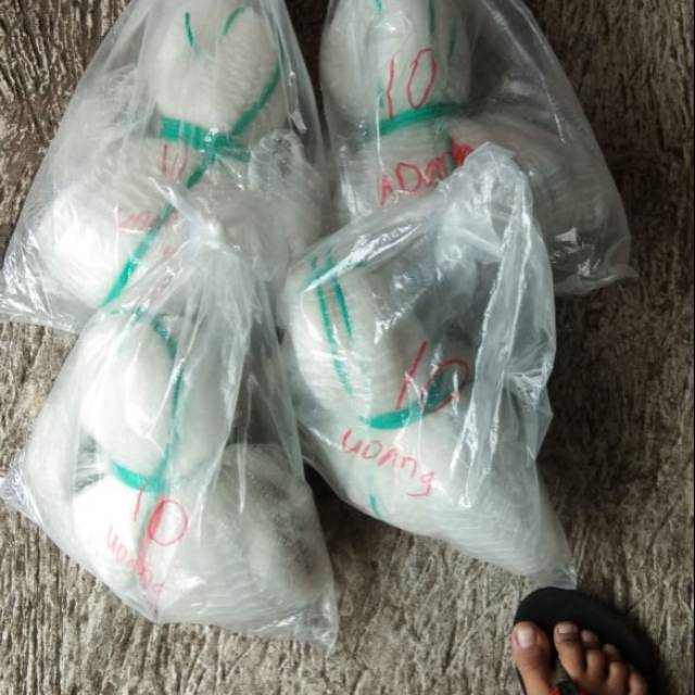 Jala ikan dan udang 3 m