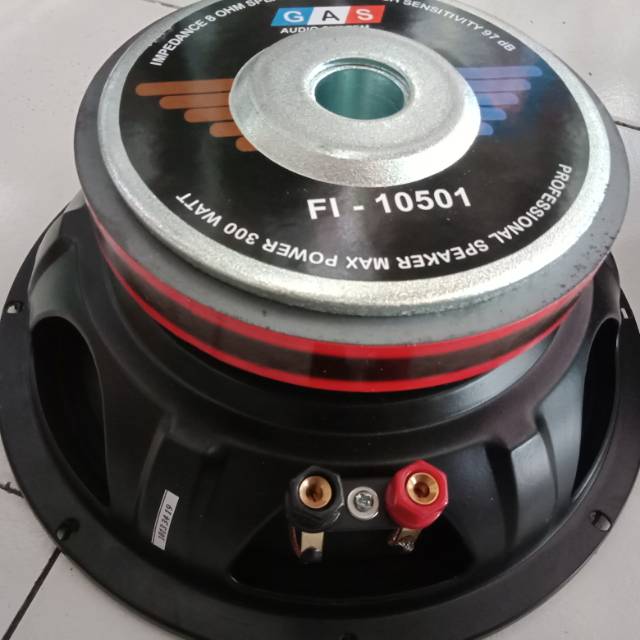 speaker gas 10 inch