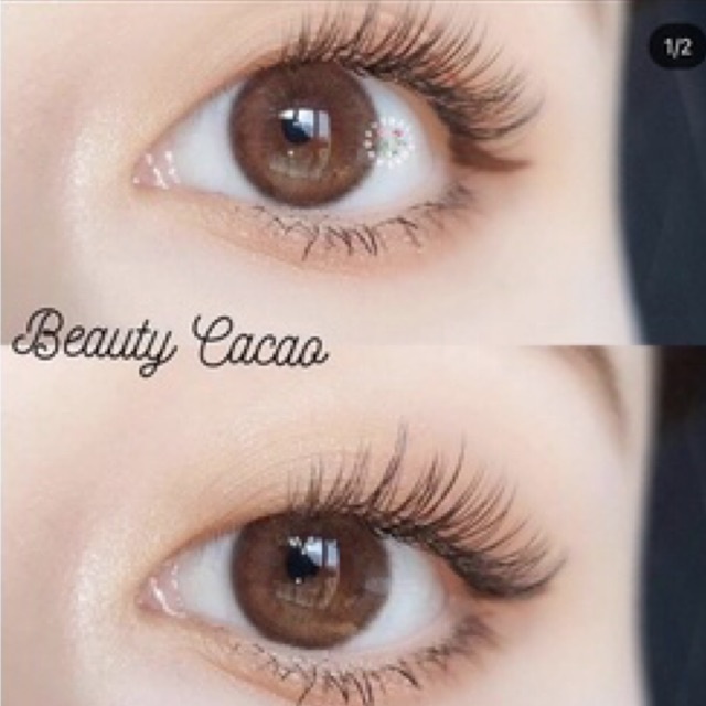 softlens beauty brown &amp; cacao original korea silicone hydrogel