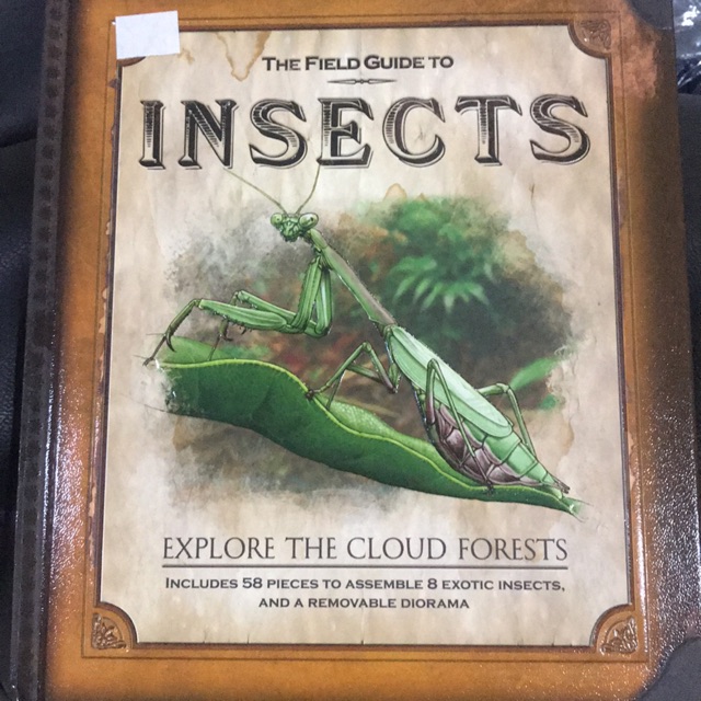 The field guide to insects silver dolphin books