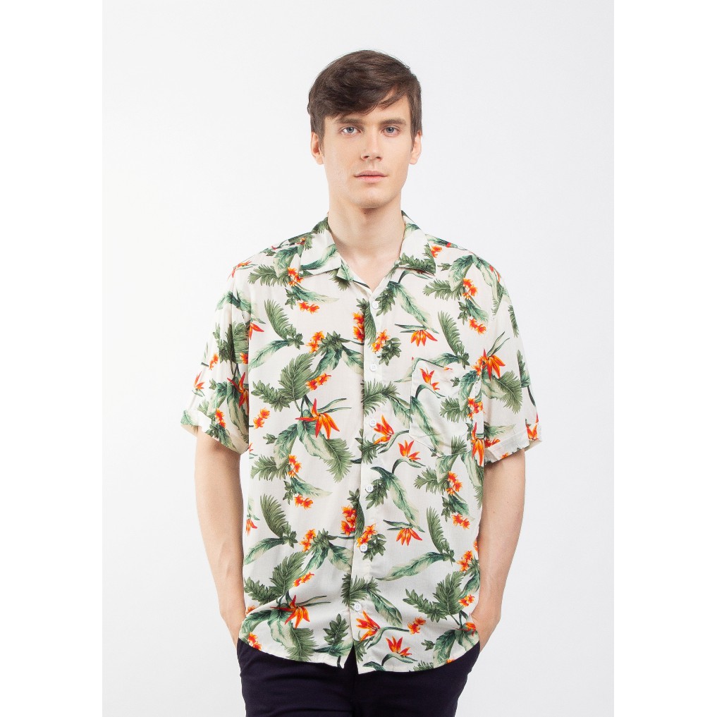 

Erigo Hawaii Portia White