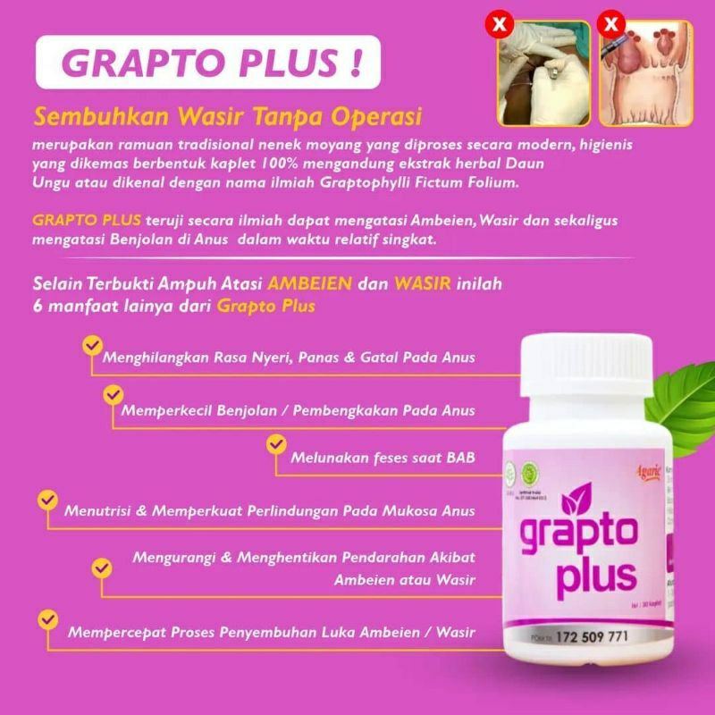 Grapto Plus Original Obat Wasir Obat Ambien Asli