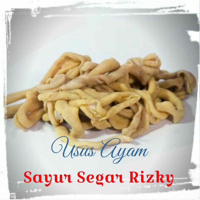 

[NAIK HARGA] Usus Ayam Segar