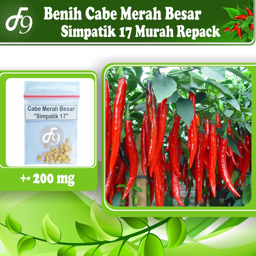 Benih Bibit Cabe Merah Besar Murah Repack Seribuan