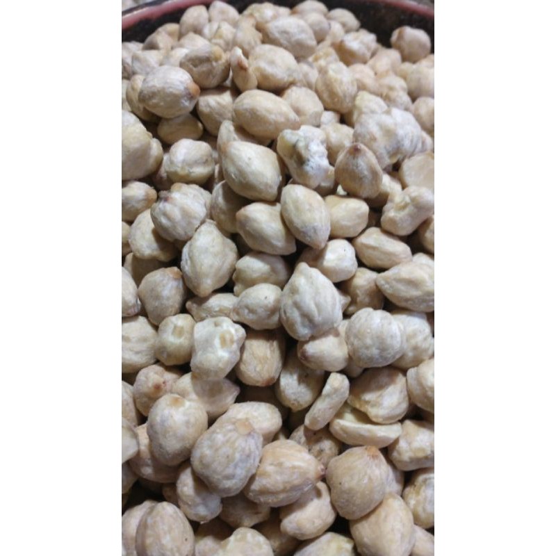 

kemiri bulat not coconut kopra kacang
