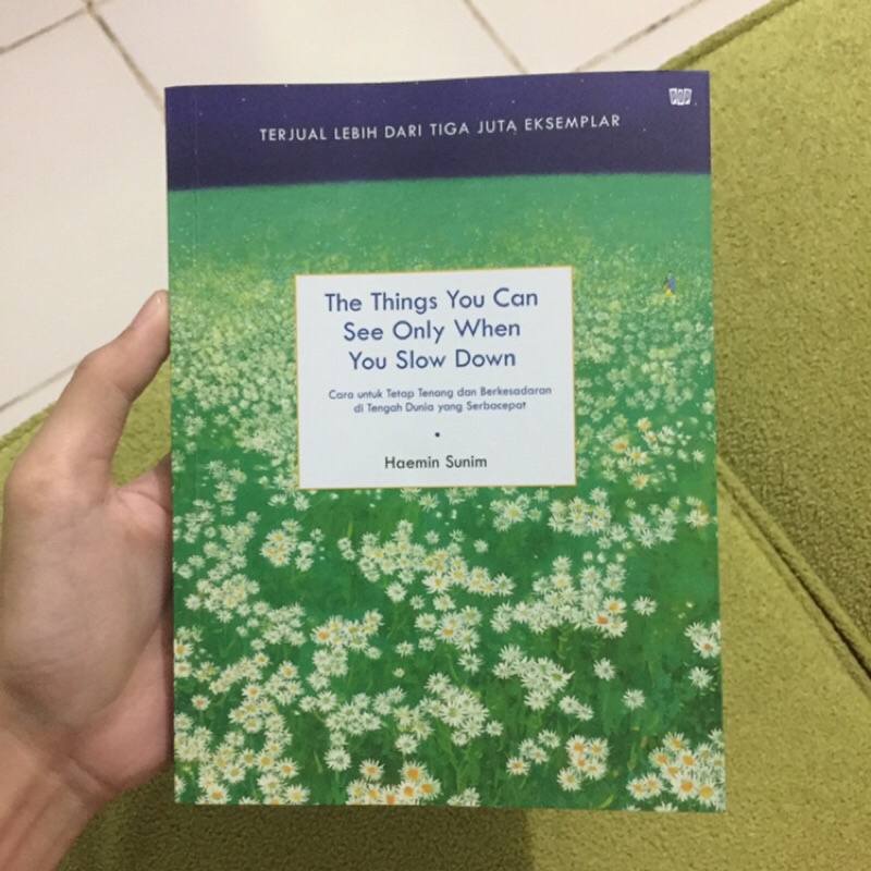 the things you can see only when you slow down [preloved]