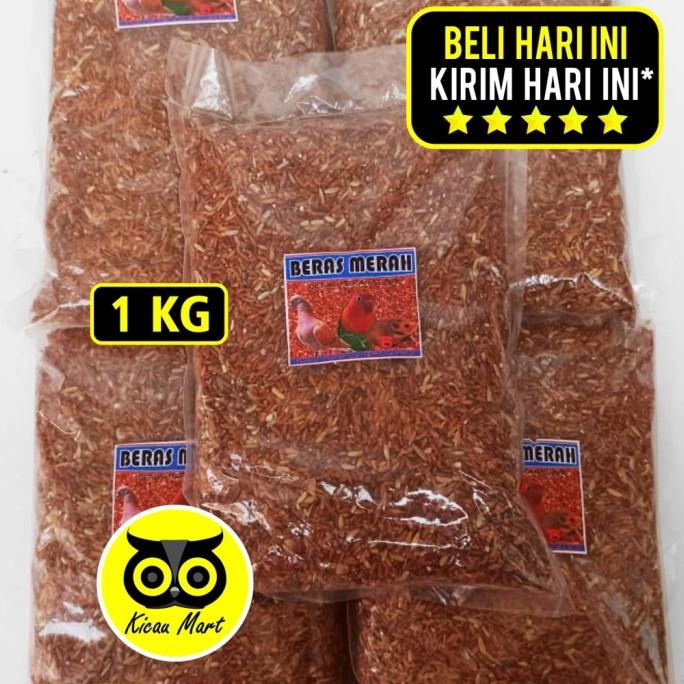 

Kualitas terbaik] BERAS MERAH 1 KG PAKAN AYAM BURUNG PERKUTUT MERPATI DARA HAMSTER BRSRF