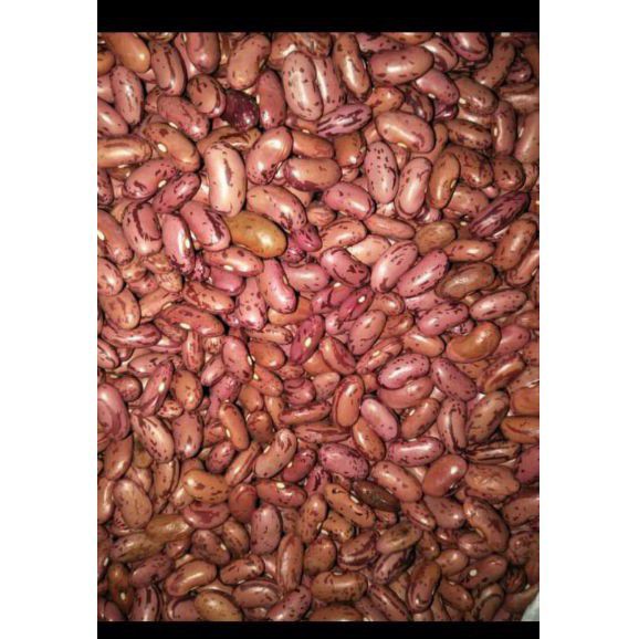 

KACANG MEERAH / LOBIA / RAJMA / 1 KG
