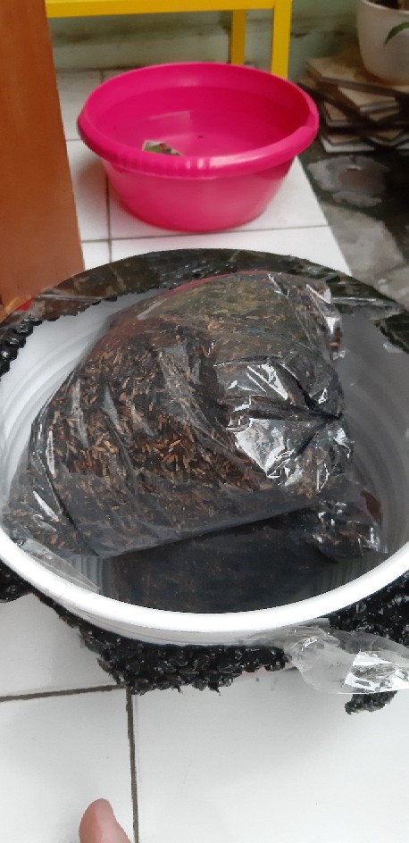 Pot Tawon 30 Cm Putih Untuk Bunga Tanaman