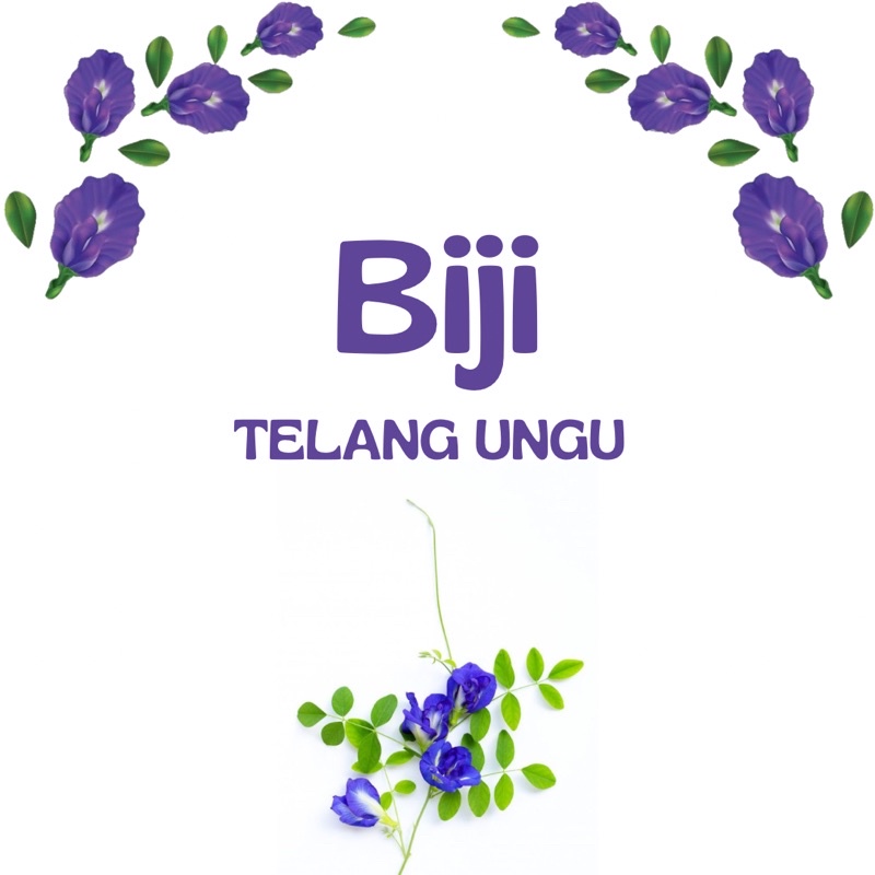 

biji bunga telang ungu / bunga telang ungu / benih bunga telang ungu / butterfly blue