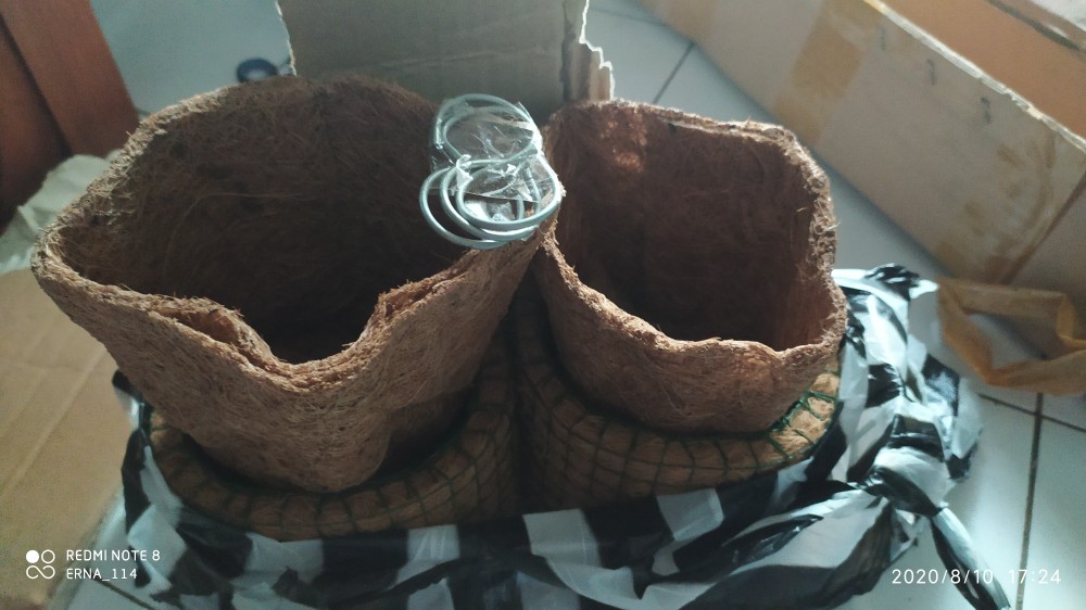 Promo Pot Anggrek Sabut Kelapa Unik Lucu Jual Promo