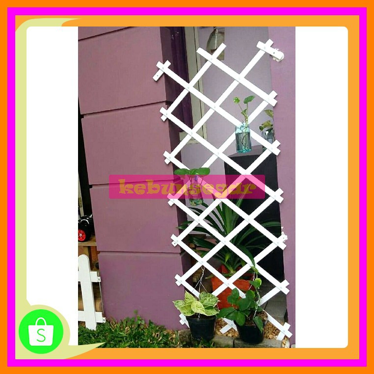 Terbaik/'Pagar Tanaman Rambat 0,5X1,5M Warna Putih