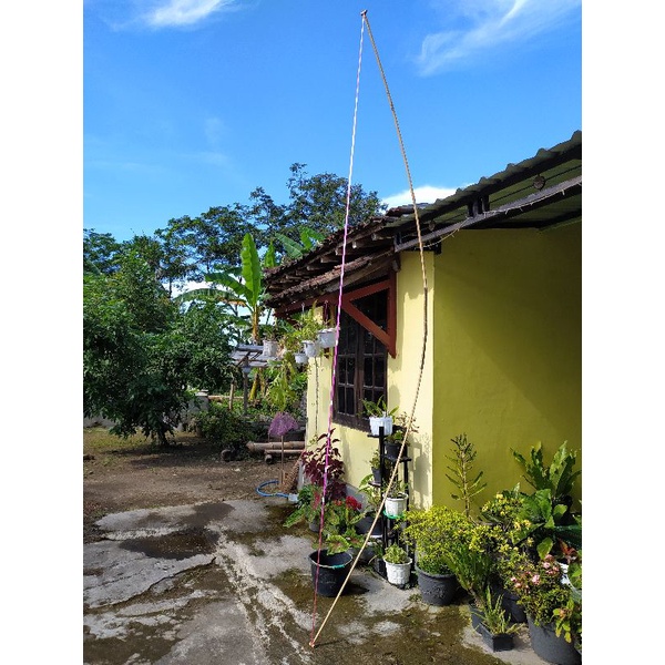 Sendaren Sawangan panjang 4 meter, bambu petung, sendaren layangan gapangan