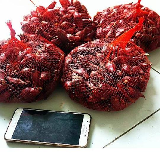 

NEW_PRODUCT [COD]Bawang Dayak 1kg Tiwai Kalimantan Segar Asli Hutan Agen Jual Paling Murah Siap Konsumsi termurah se indonesia