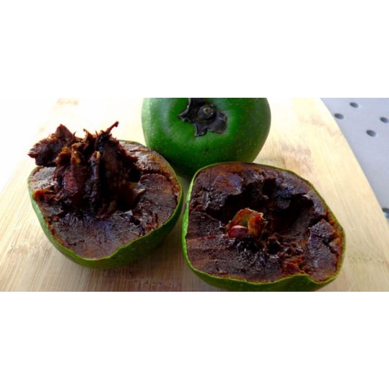 BUAH BLACK SAPOTE