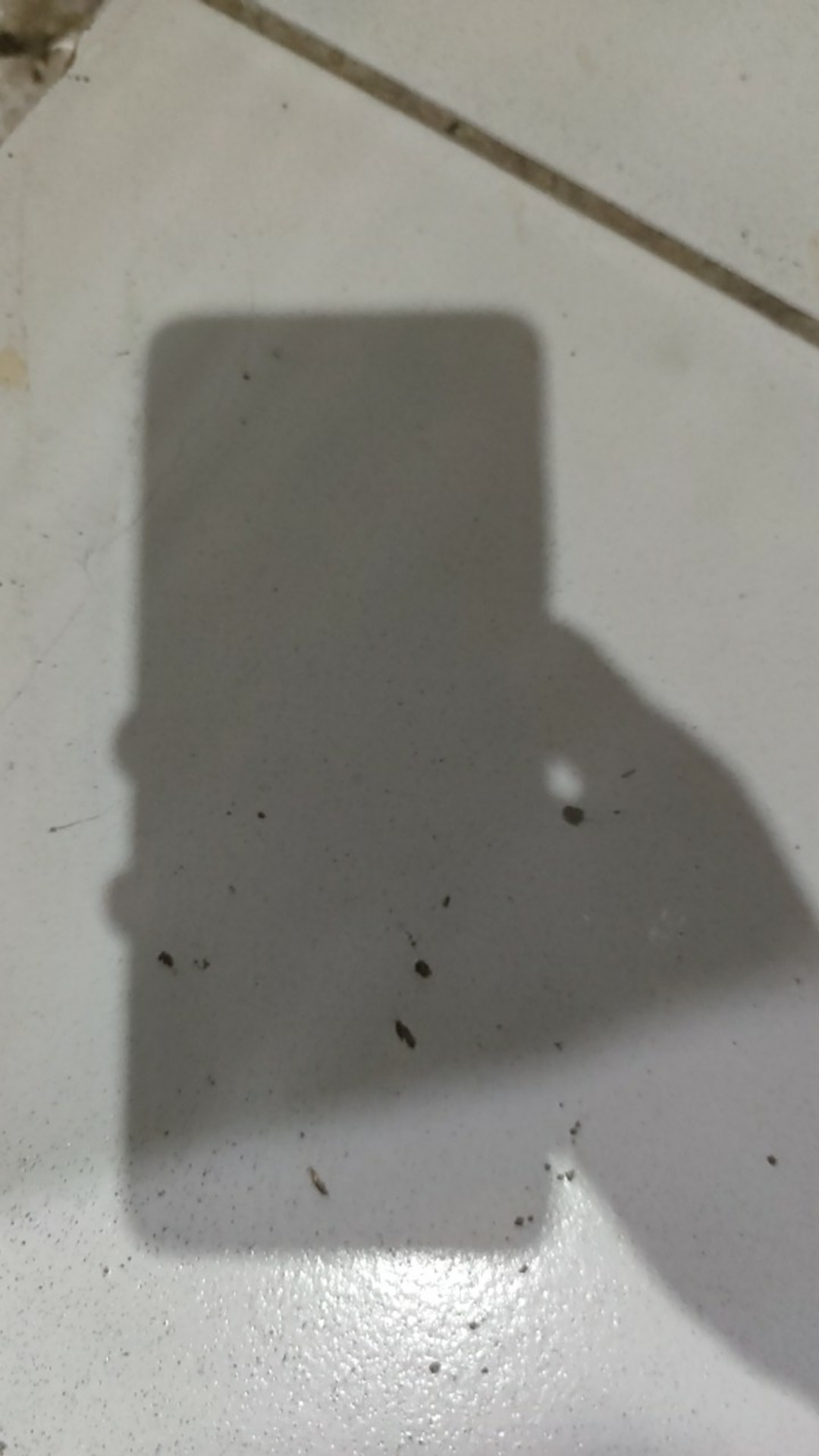 Gaming Masker - Shroud