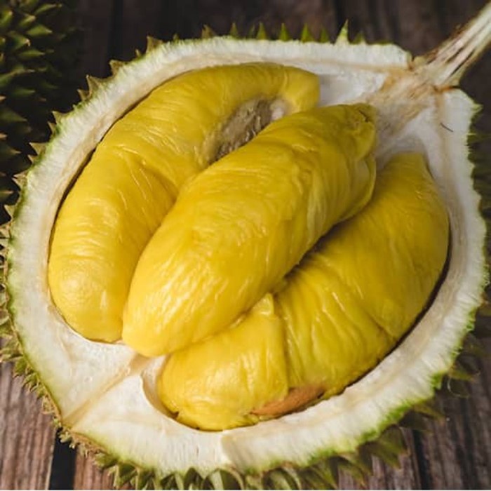 Bibit Tanaman Buah DURIAN MUSANG KING KAKI 3 Premium