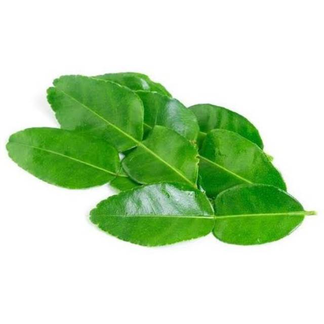 

Daun Jeruk