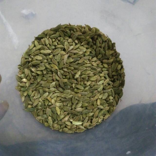 

KAPULAGA ARAB / KAPULAGA HIJAU P3 . 100 gram