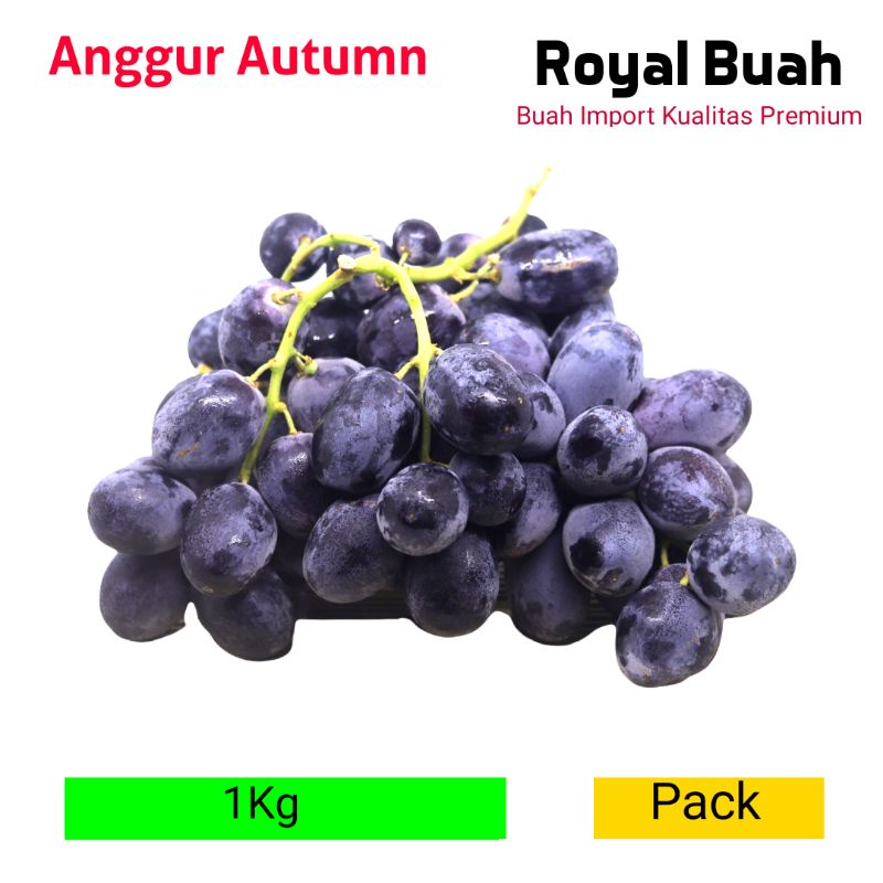 

Anggur Black Autumn Seedless 500gr