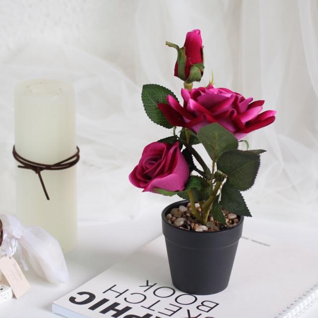 AM502 Bunga Plastik Motif Rose Keranjang Hitam / Bunga Plastik Artificial-Fanta