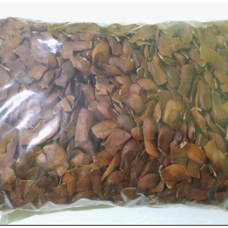 

Biji Mahoni 100gr - Biji Buah Mahoni Untuk Pengobatan