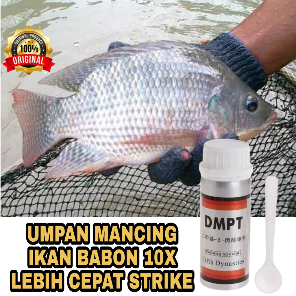 SHINE STAR - [ ORIGINAL GERMAN ] DMPT 40 GRAM STIMULANT UMPAN PANCING IKAN / BUBUK PERANGSANG SEMUA JENIS IKAN