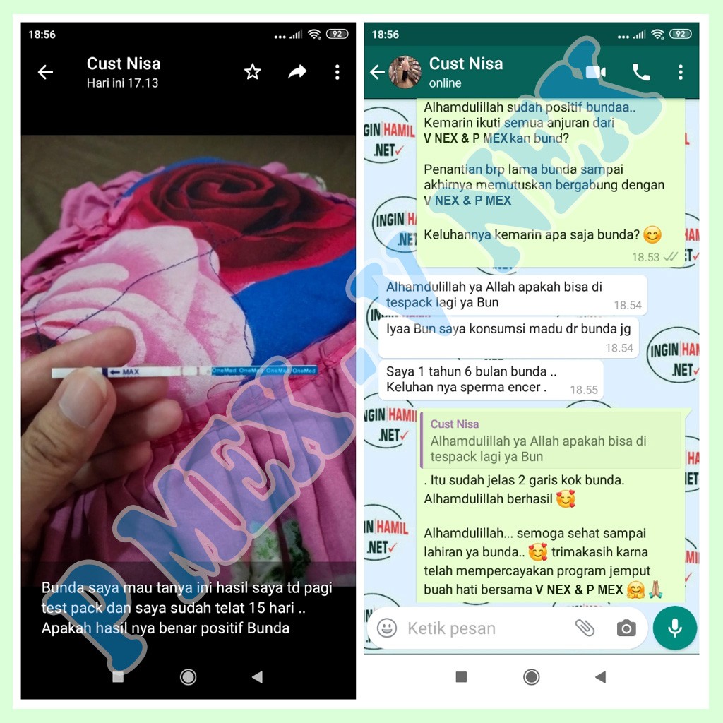 Promil Satuan Suami Istri P Mex V Nex Madu Penyubur Kandungan Formula Cepat Hamil Terbaru Shopee Indonesia