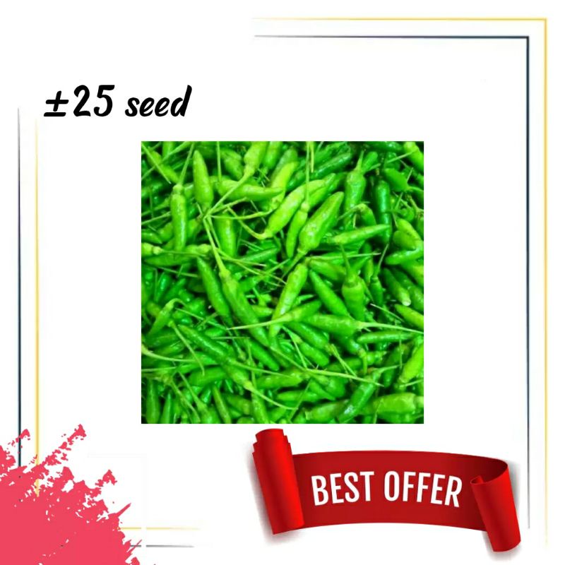 25BIJI - BENIH CABAI Rawit HIJAU