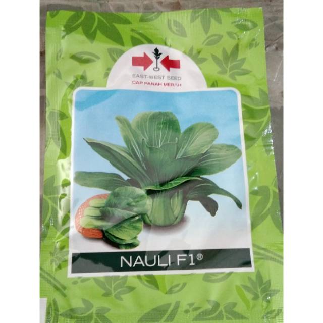Benih pakcoy Nauli F1
