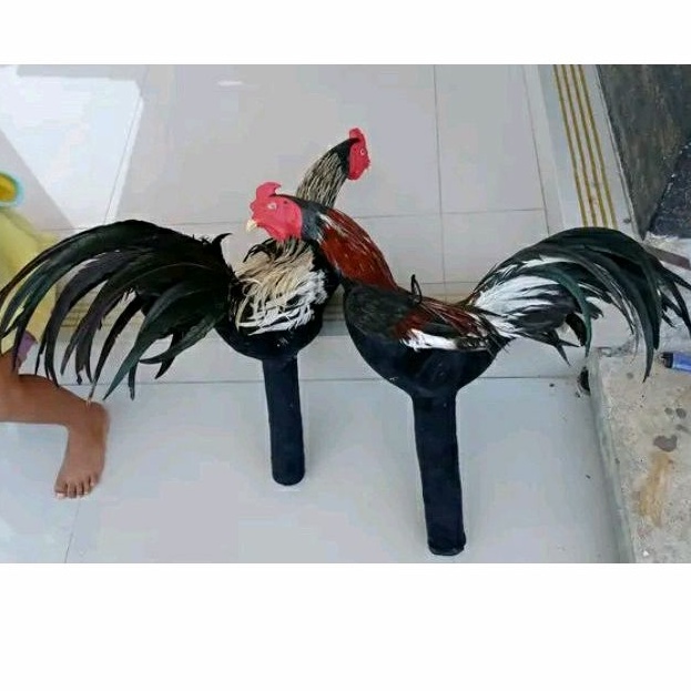 Boneka Ayam Jago Boneka Ayam Aduan