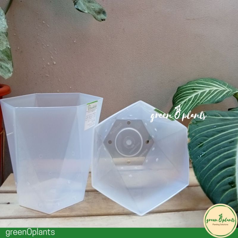 Pot TABITHA DIAMOND 20 Bening Berlubang
