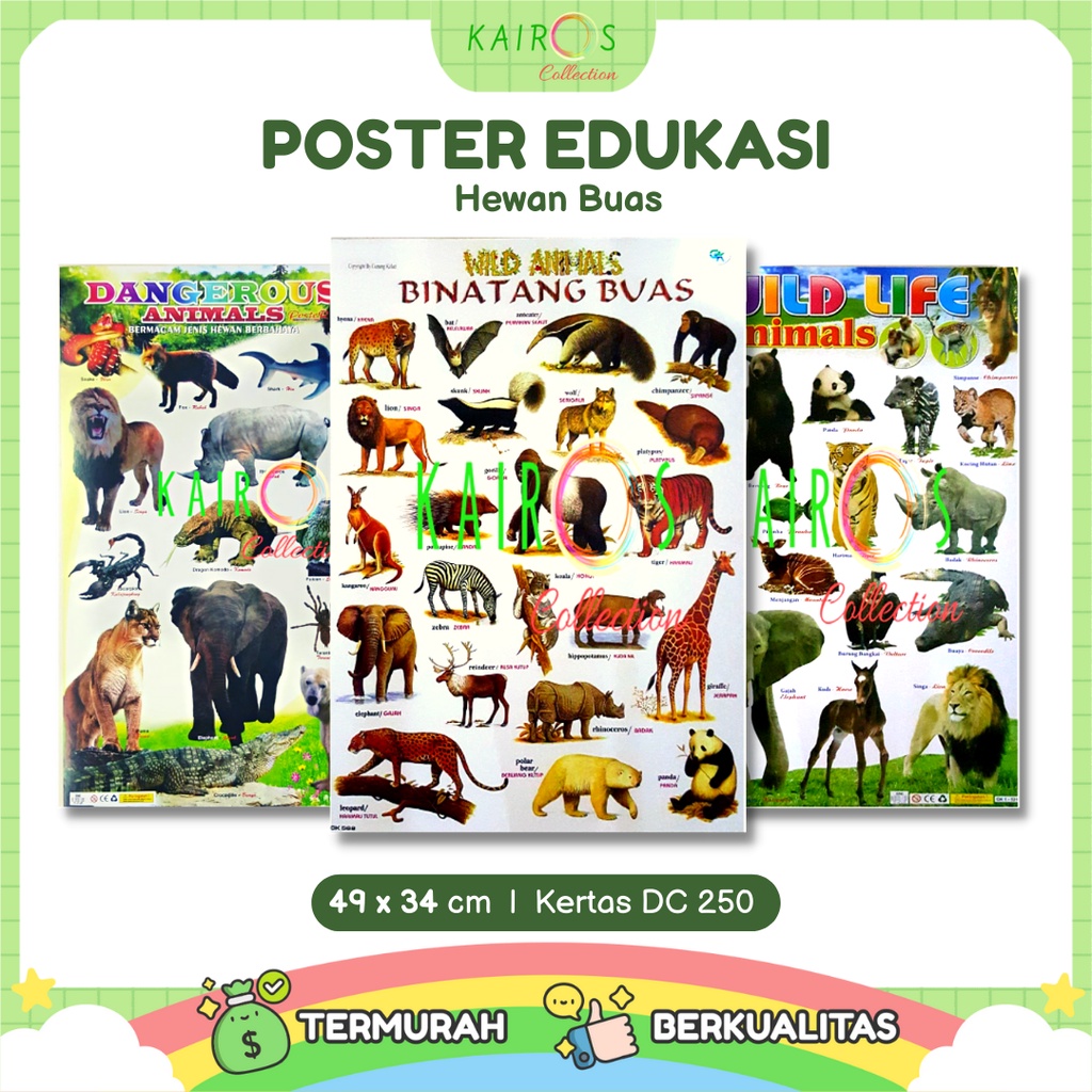 Poster Edukasi Anak Belajar Binatang Buas