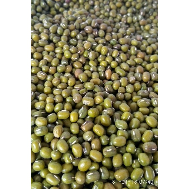 

PASAR SEGAR - KACANG IJO 250GR