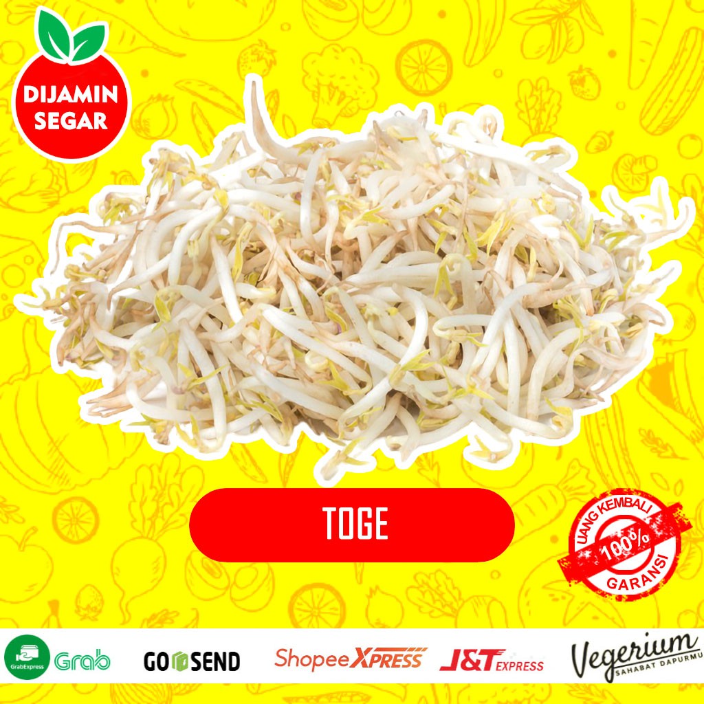 

Toge Tauge Panjang Mung Bean Sprouts Sayur Sayuran Segar Fresh 100 Gram