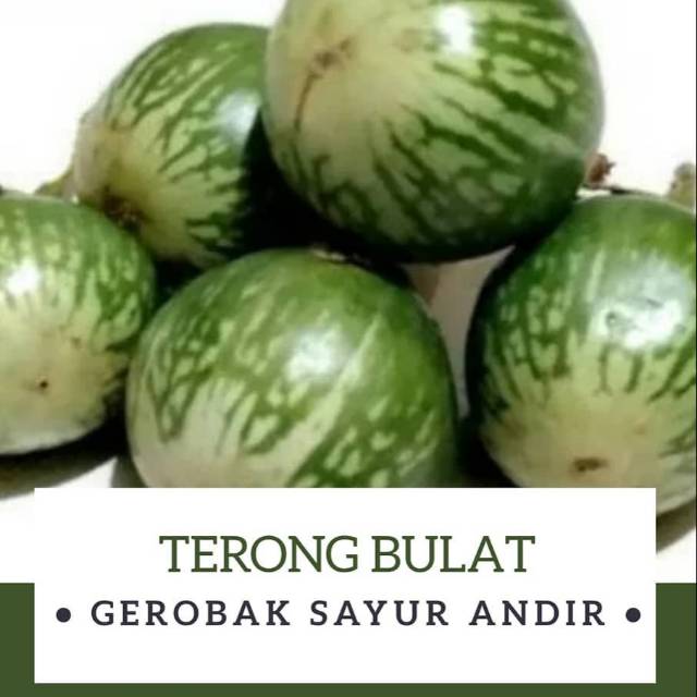 

Terong Bulat Hijau /500gr