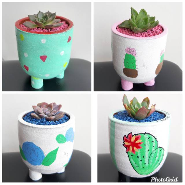 KAKTUS SUKULEN MINI LENGKAP POT CANTIK MEDIA TANAM + BATU ZEOLIT WARNA