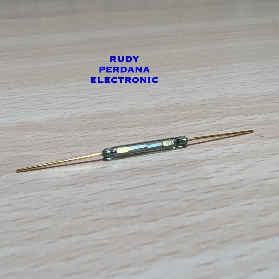 REED SWITCH SAKLAR GOLD EMAS MAGNETIC MAGNET SENSOR BESAR 20MM 2CM