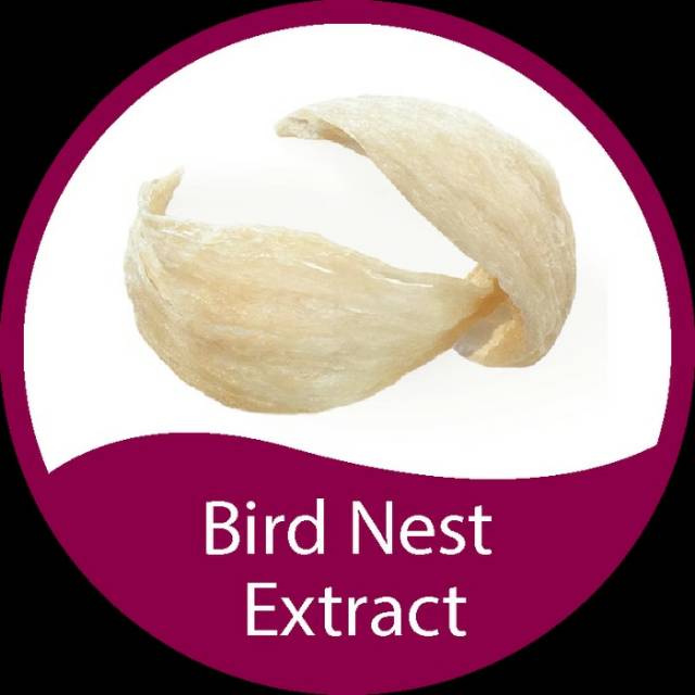Jual Bird's nest extract powder 10 gr / Ekstrak sarang burung Shopee