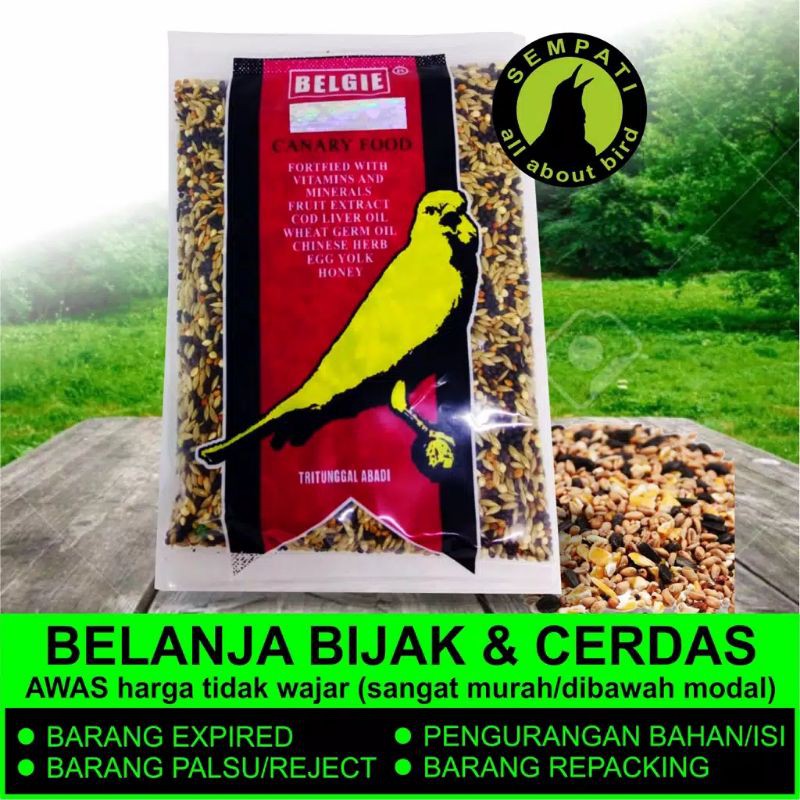 belgie di belgi pakan kenari harian sampai lomba