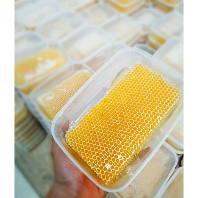 

BISA COD, Madu murni untuk menambah imunitas tubuh