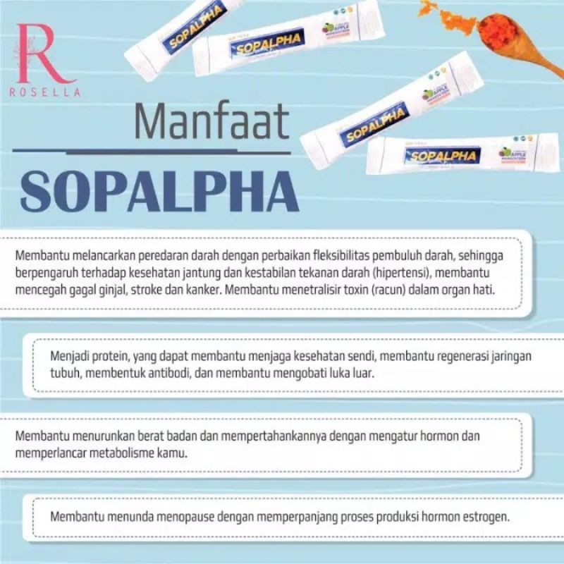 SOPALPHA BIOBOOST ORIGINA PER SACHET