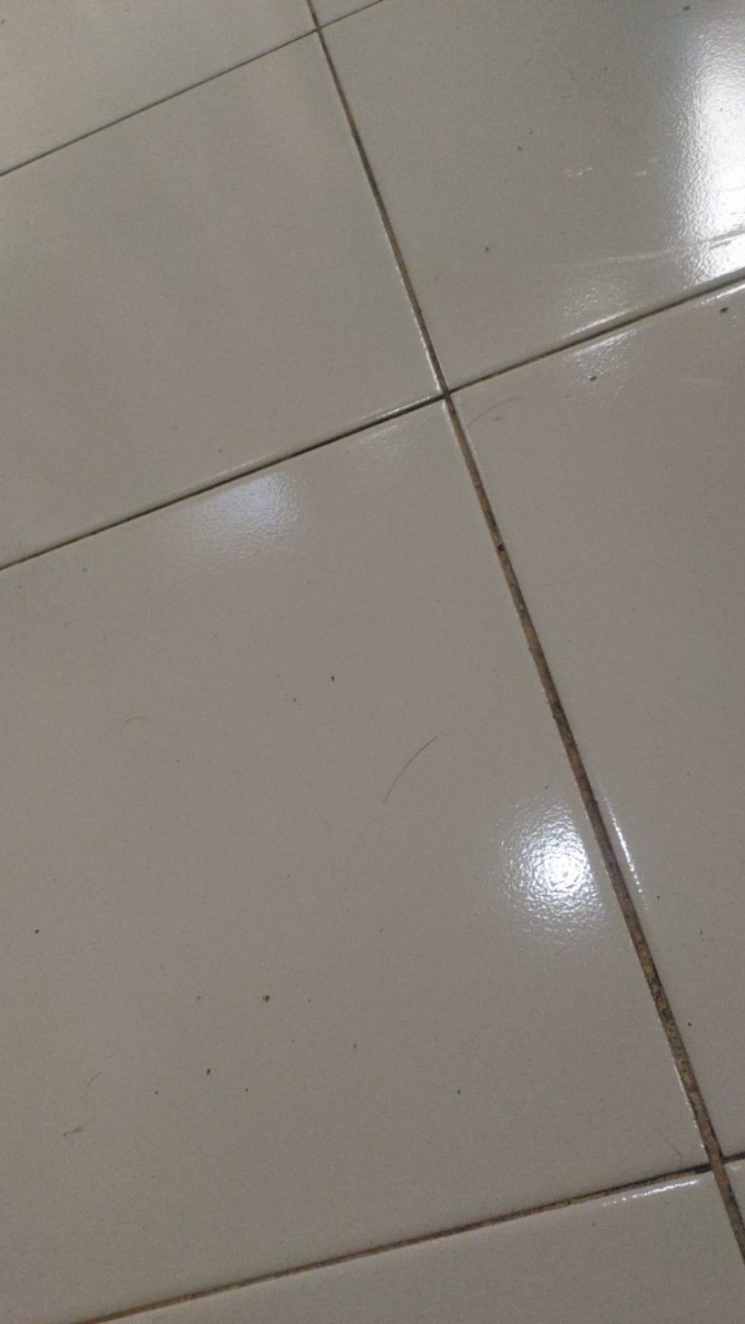 Idola Pembersih Porcelain Cleaner/pembersih Kerak Lantai Keramik Kamar Mandi