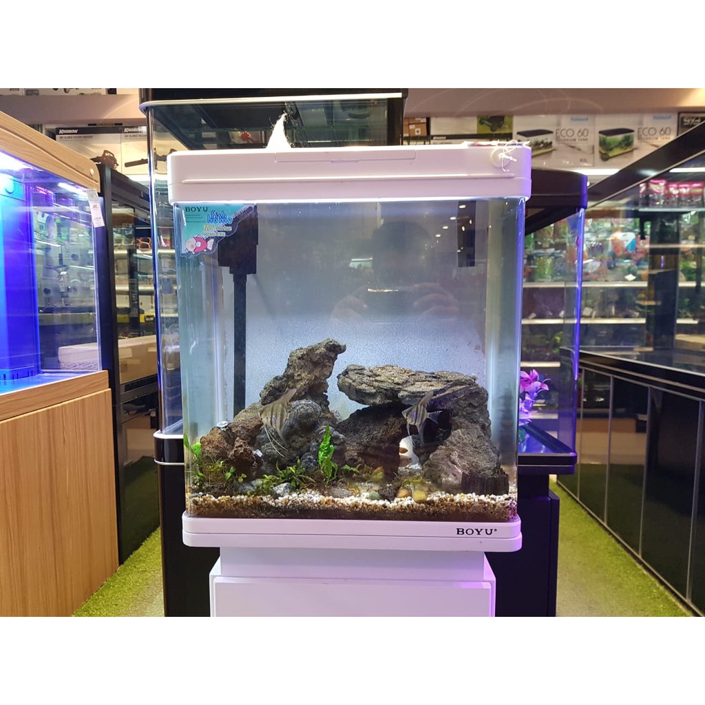 54 Dekorasi Aquarium Boyu HD