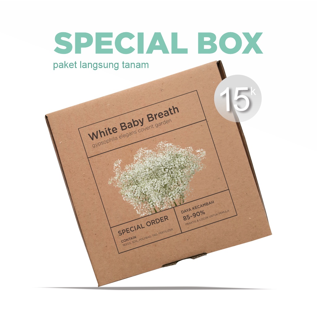 Paket Langsung Tanam - Gardening Kit - SPECIAL BOX - Benih Bunga White Baby Breath Gypsophila Elegans Covent Garden Flower Seeds