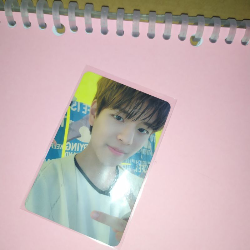 PC SEUNGMIN YELLOW WOOD