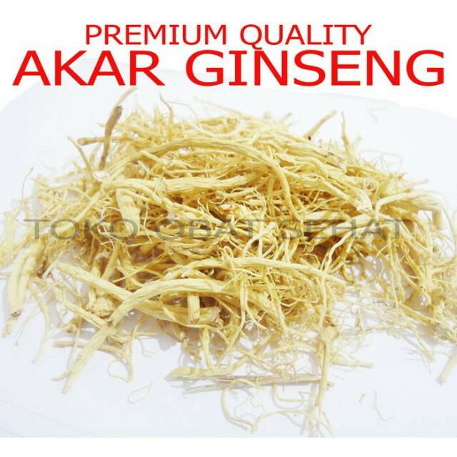 

Akar ginseng ramuan tambah stamina ,bumbu sup / tim ayam