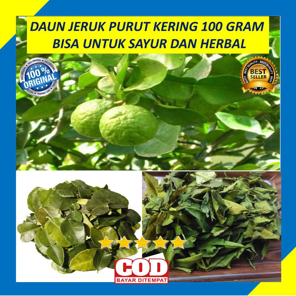 

Daun Jeruk Purut Kering 100 Gram Sayur Herbal